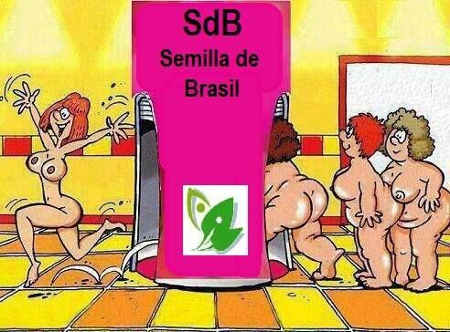 Sin Nombre